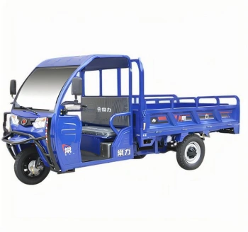 Motocicleta Eléctrica de Tres Ruedas Modelo 9A