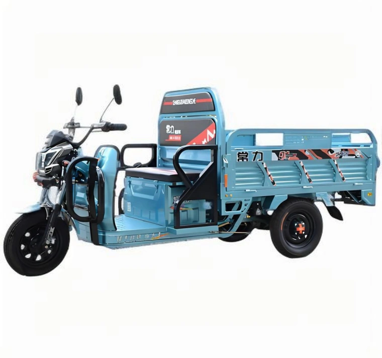 Triciclo elétrico Sinoswift Triciclo elétrico Sinoswift