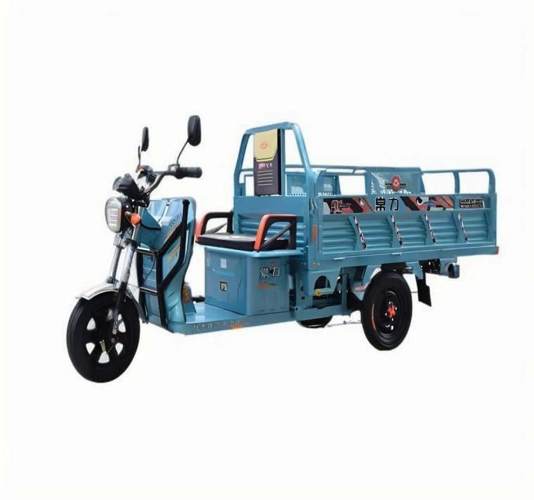 Triciclo elettrico Sinoswift Triciclo elettrico Sinoswift