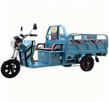Triciclo Elétrico de Carga Modelo 33