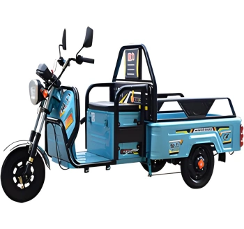 Triciclo Elétrico de Carga 650W com Suspensão Hidráulica