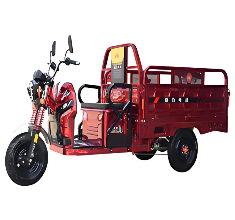 Triciclo eléctrico Sinoswift