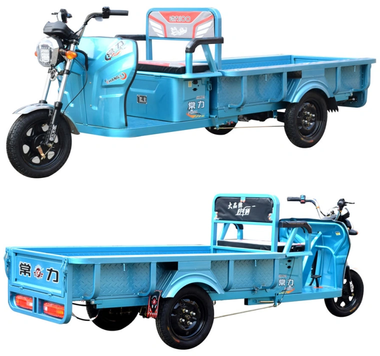 Triciclo eléctrico Sinoswift
