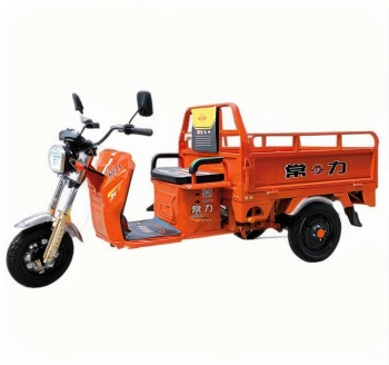 Triciclo de Carga Eléctrico C-07