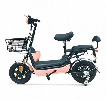 Bicicleta Elétrica de Duas Rodas