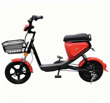 Bicicleta Elétrica de Duas Rodas
