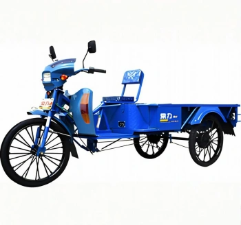 Model 021 Elektrikli Yük Üç Tekerlekli Araç – 1200W Fırçalı Motor
